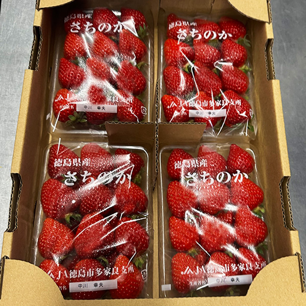 【徳島県産】さちのか【4パック】