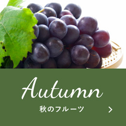 秋のフルーツ